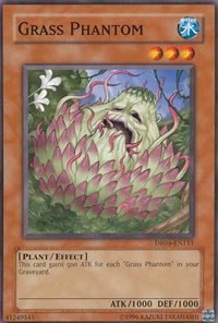 Grass Phantom