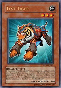Test Tiger - 1st Edition