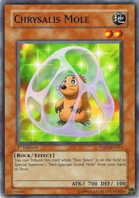 Chrysalis Mole - Unlimited