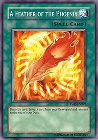 A Feather of the Phoenix - 1st Edition