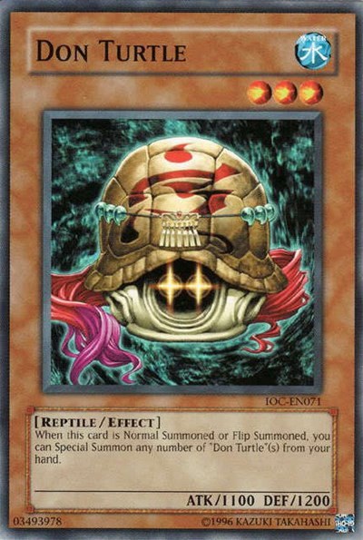 Don Turtle