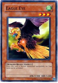 Eagle Eye