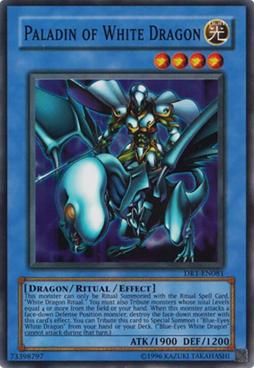 Paladin of White Dragon