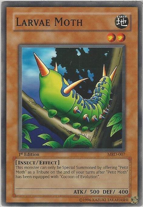 Larvae Moth - 1st Edition