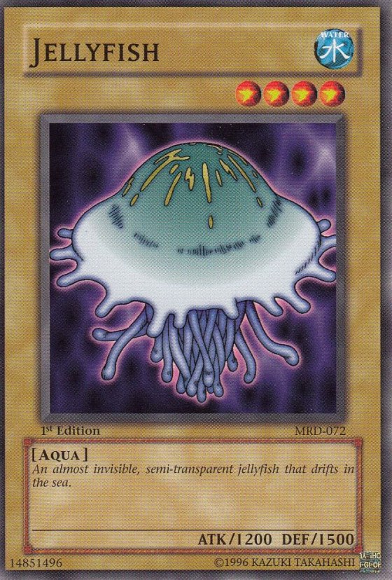 Jellyfish - 1st Edition