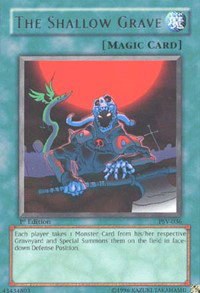 The Shallow Grave - 1st Edition