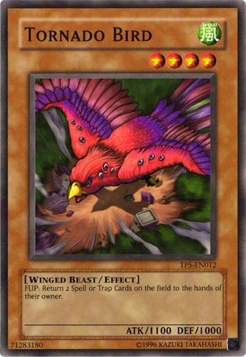 Tornado Bird