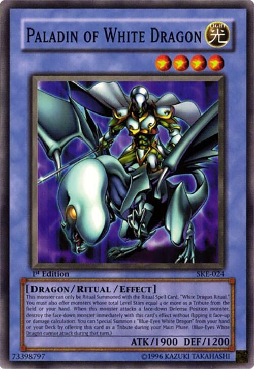 Paladin of White Dragon - 1st Edition