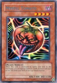 Mystic Tomato - Blue