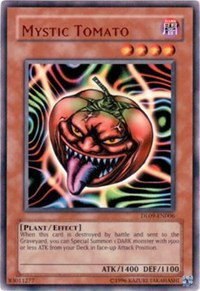 Mystic Tomato - Bronze