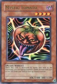 Mystic Tomato - Green