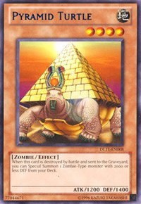 Pyramid Turtle - Blue