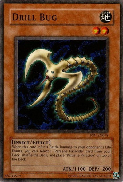 Drill Bug
