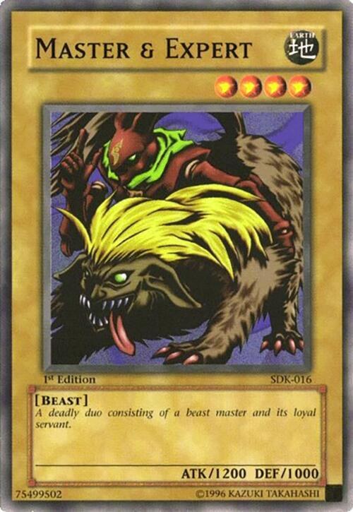 Master & Expert - 1st Edition