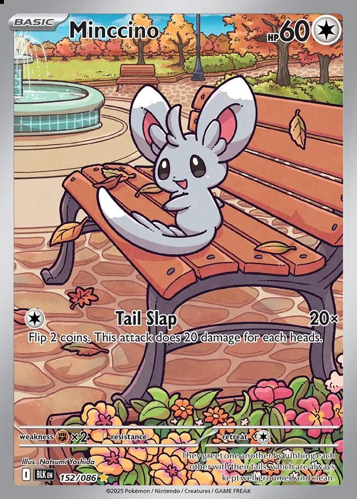 Minccino