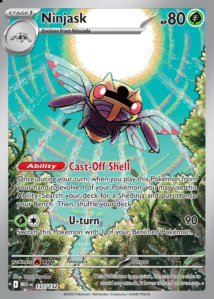Ninjask