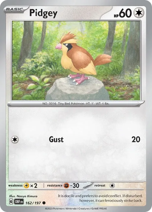 Pidgey