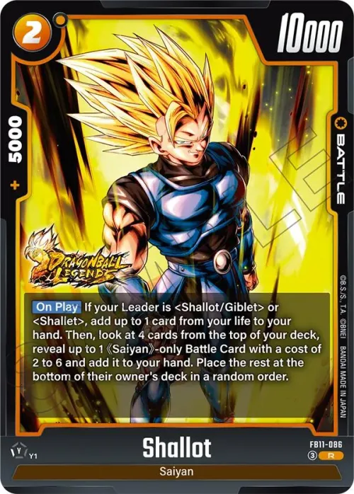 Shallot