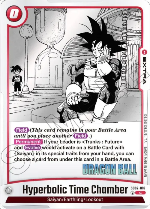 Hyperbolic Time Chamber
