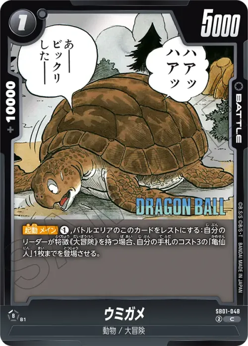 ウミガメ