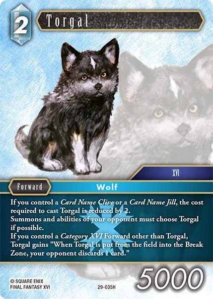 Torgal - Foil