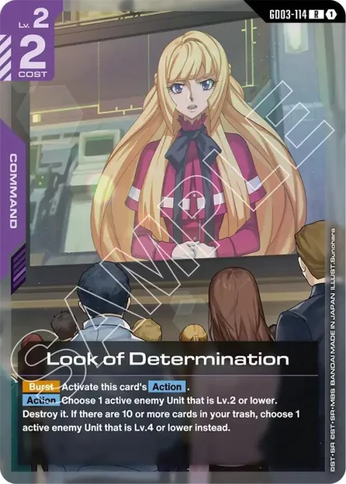 Look of Determination - Holo