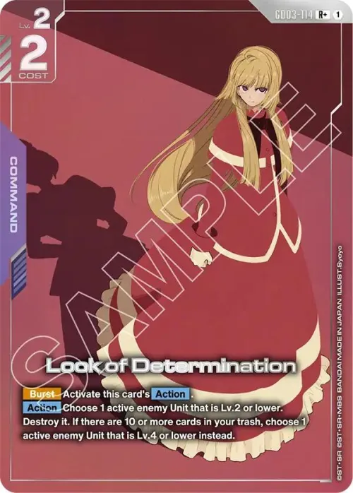 Look of Determination - R Plus
