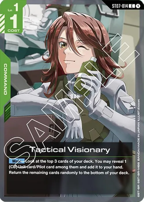 Tactical Visionary
