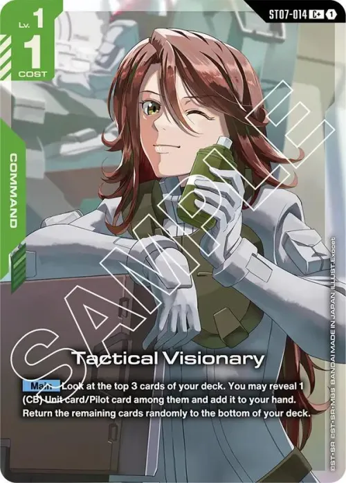 Tactical Visionary - C Plus