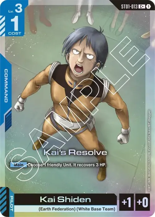 Kai's Resolve - C Plus