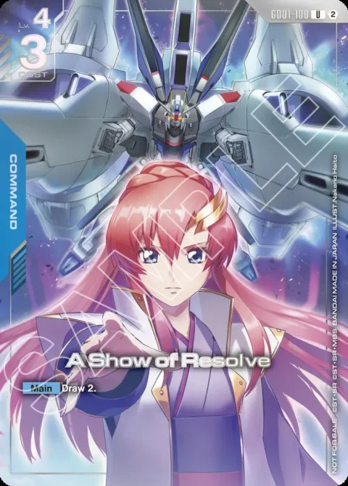 A Show of Resolve - 1st Anniversary Event