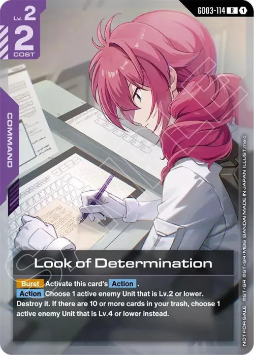 Look of Determination