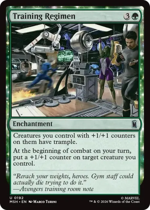 Training Regimen - Foil