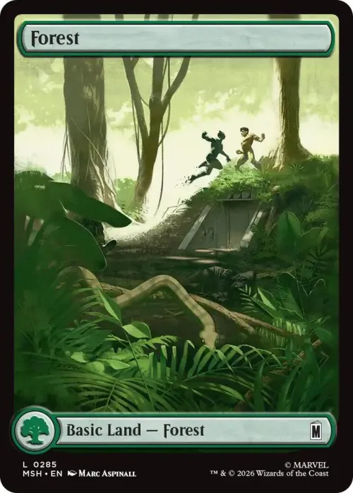Forest - Foil