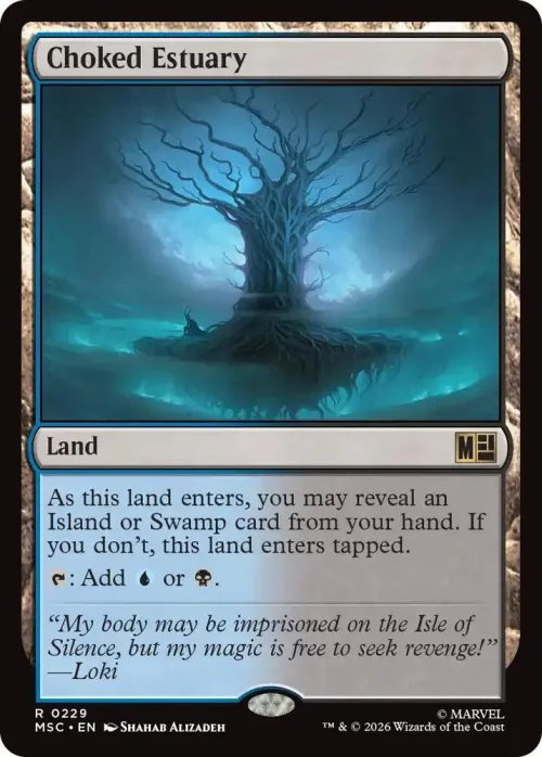 Choked Estuary - Surge Foil