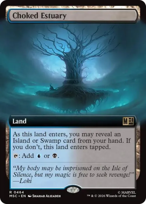 Choked Estuary
