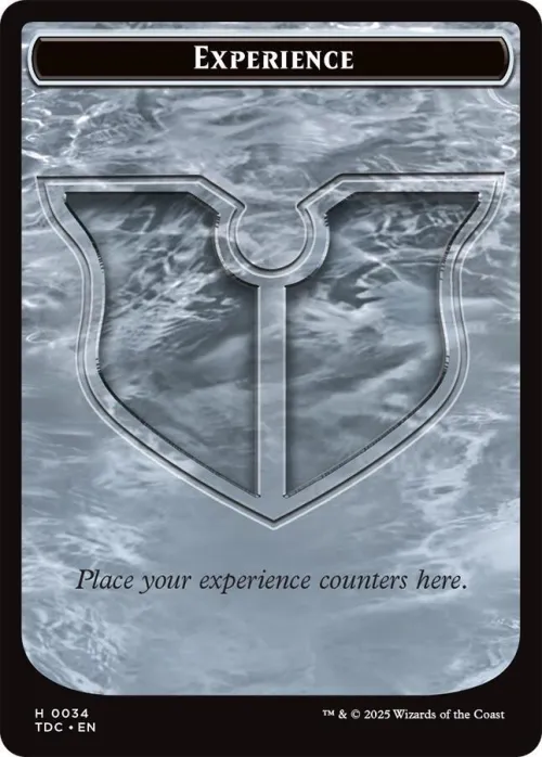 Experience // Treasure Double-Sided Token