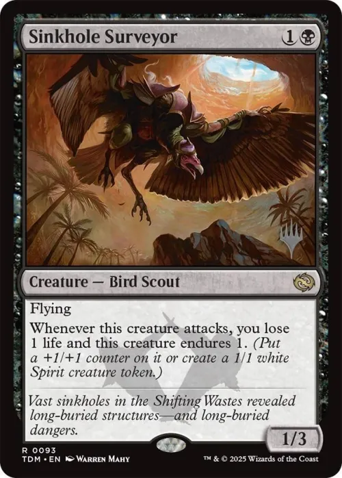 Sinkhole Surveyor - Foil
