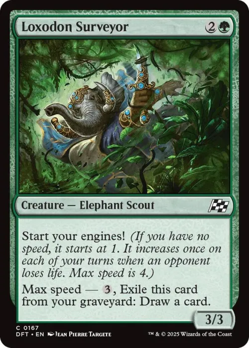 Loxodon Surveyor - Foil
