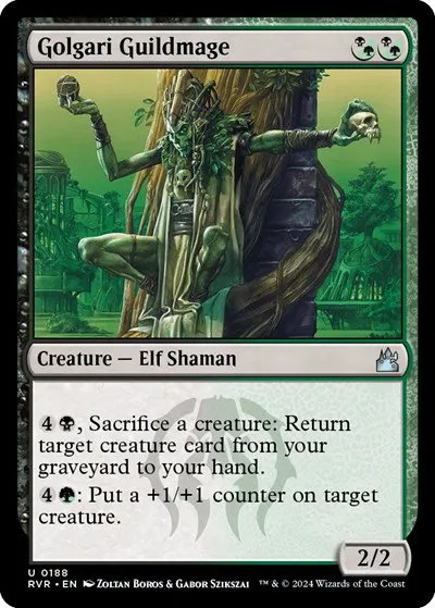 Golgari Guildmage - Foil