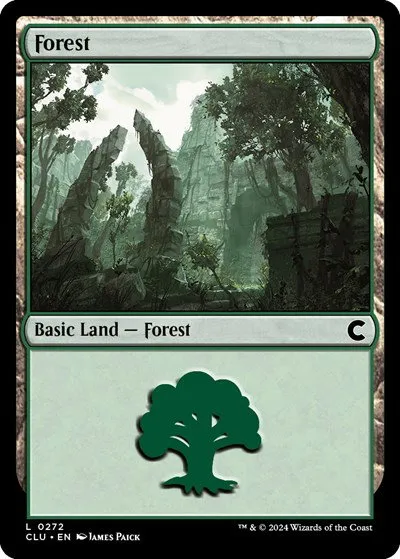 Forest