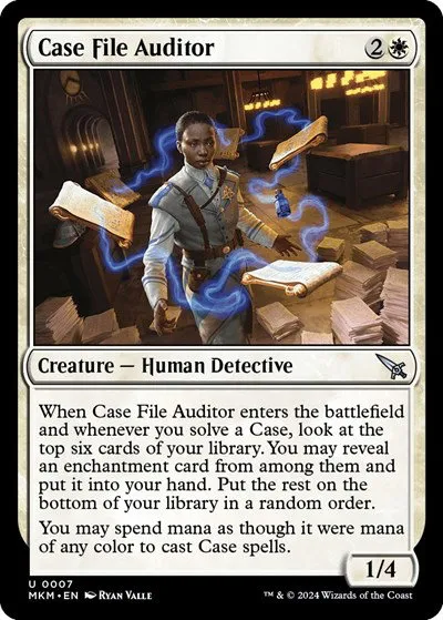 Case File Auditor - A Foil