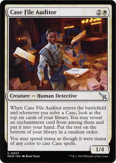 Case File Auditor - B