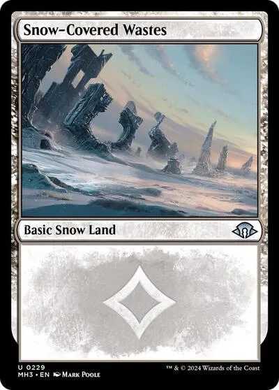 Snow-Covered Wastes - Foil