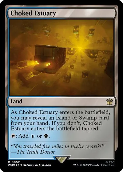 Choked Estuary