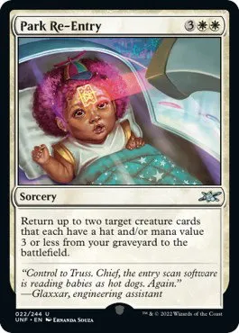 Park Re-Entry - Foil