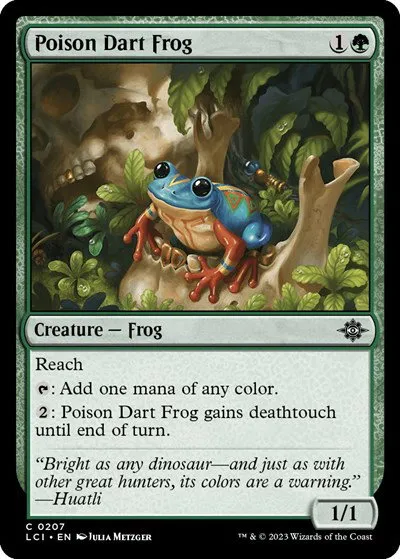 Poison Dart Frog - Foil