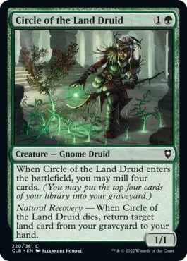 Circle of the Land Druid