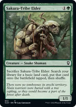 Sakura-Tribe Elder