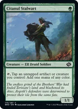 Citanul Stalwart - Foil